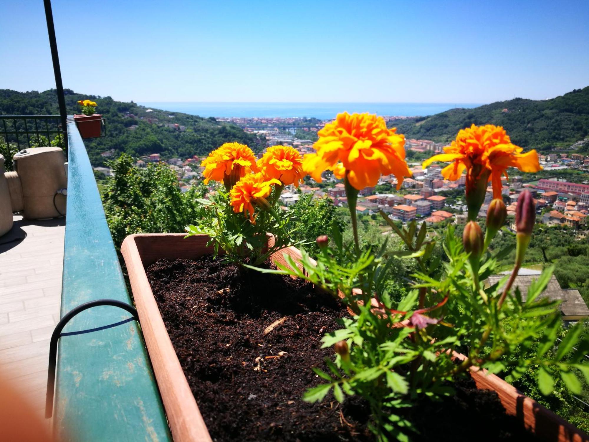 B&B La Terrazza Sui Fieschi Cogorno Exteriér fotografie